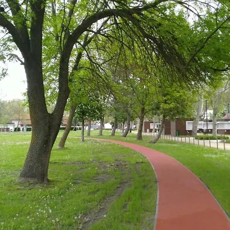 Lavender Balatonboglar