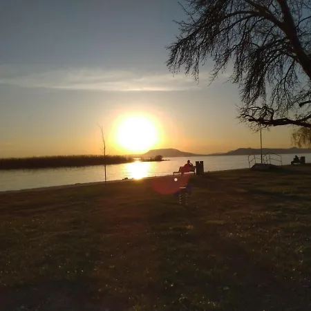 Lavender * Балатонбоглар